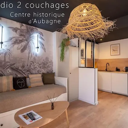 Le Bocage - 2 Couchages - Centre Historique Apartment *